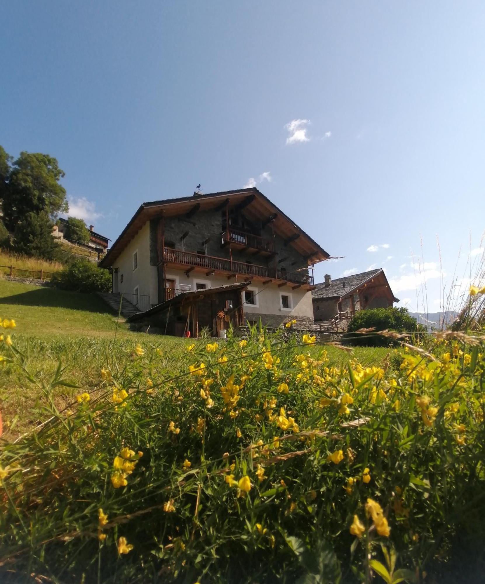 La Thuillettaz B&B Saint-Rhemy-En-Bosses Exterior photo
